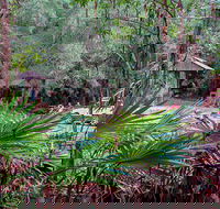 Sugar Creek Picnic Area - Darwin Tourism
