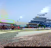 Tabcorp Park - Darwin Tourism