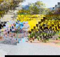 The Heron's Highway - Avon River Cycle Trail - Darwin Tourism