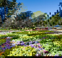 Toowoomba - Darwin Tourism