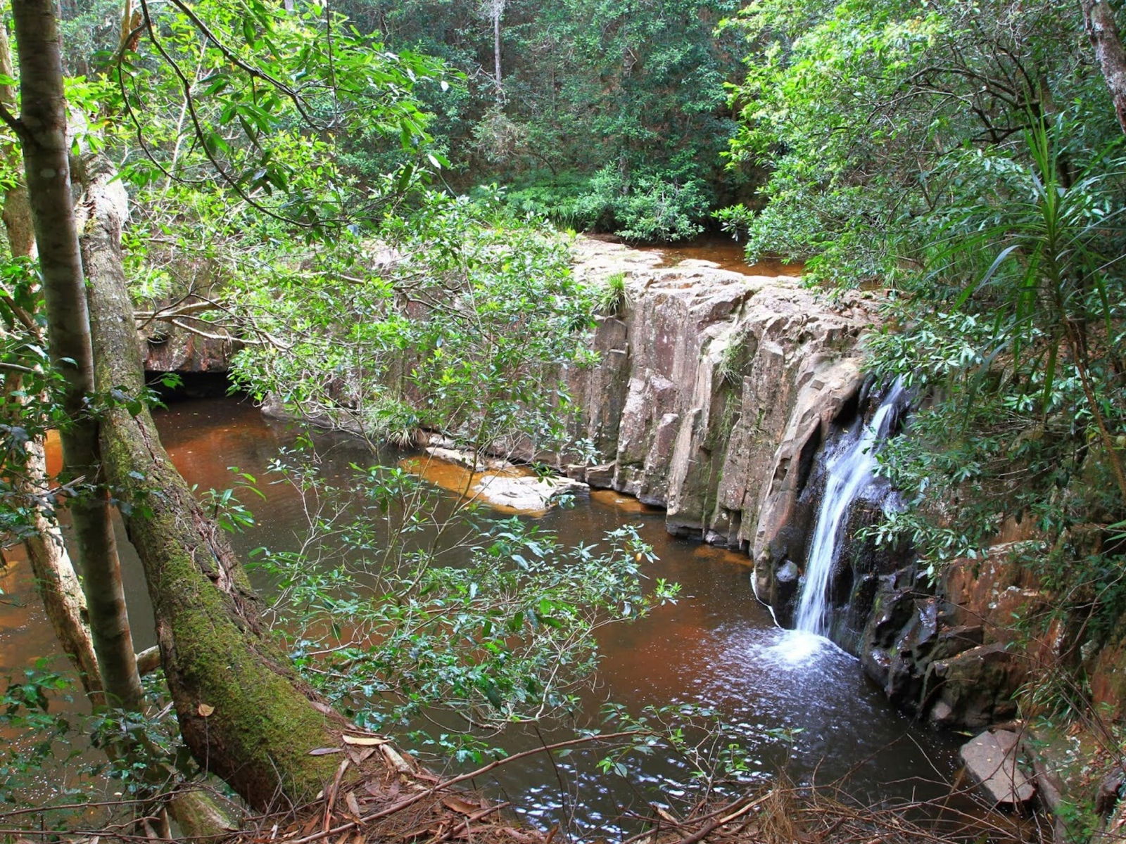 Waitui NSW Darwin Tourism
