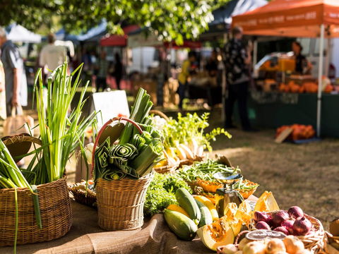 Warragul Farmers Market - Darwin Tourism 1