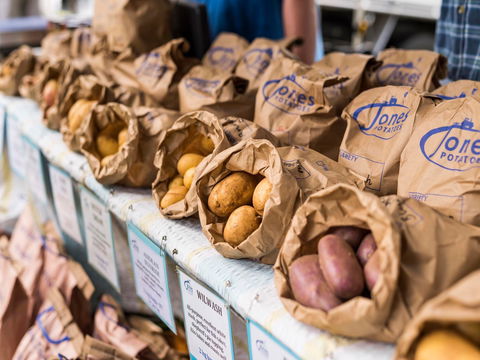 Warragul Farmers Market - Darwin Tourism 2