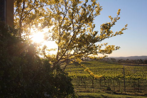 Wine Trail: Queanbeyan-Palerang - Darwin Tourism 1