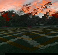 Bellingham Maze - Darwin Tourism