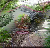 Black Dragon Gardens Wulong Yuan - Darwin Tourism