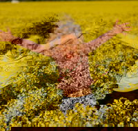 Canola Trail - Darwin Tourism