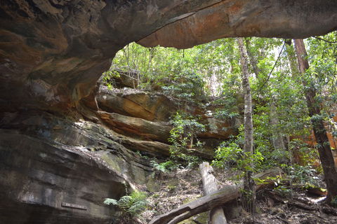 Cave Creek Walking Track - Darwin Tourism 0