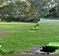 Cottonwood Glen Picnic Area - Darwin Tourism