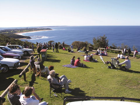 Crackneck Point Lookout - Darwin Tourism 0