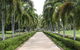 Dan Gleeson Memorial Gardens - thumb 0