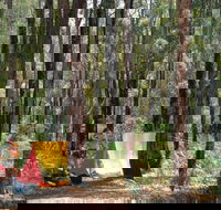 Dwellingup - Darwin Tourism