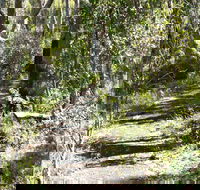 Euglah Rock Walking Track - Darwin Tourism