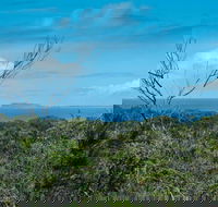 Forest Walking Track Crowdy Bay National Park - Darwin Tourism