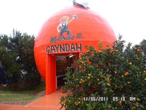 Gayndah's Big Orange - Darwin Tourism 2