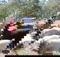 Haigslea EWE Nique Hobby Farm - Darwin Tourism