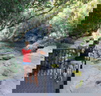 Josephine Falls walking track Wooroonooran National Park - Darwin Tourism