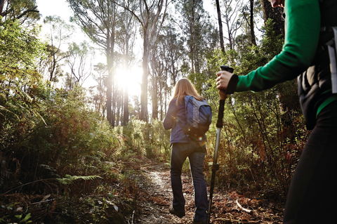 Kinglake National Park - Darwin Tourism 0