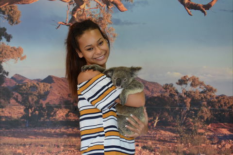 Kuranda Koala Gardens - Darwin Tourism 0