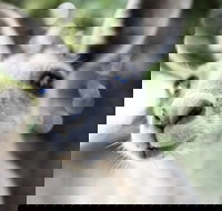 Lochern National Park - Darwin Tourism