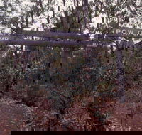 Marrinup Trail Dwellingup - Darwin Tourism