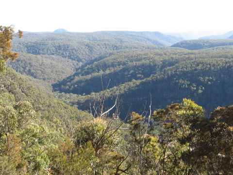 Nattai Gorge Lookout - Darwin Tourism 1