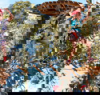 Next Level Monkey Business - Darwin Tourism