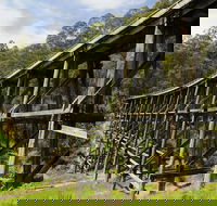 Noojee Trestle Bridge - Darwin Tourism