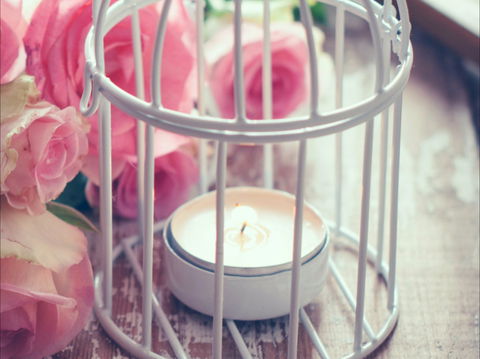 Passionfish Candles - Darwin Tourism 1