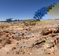 Peery Lake picnic area - Darwin Tourism