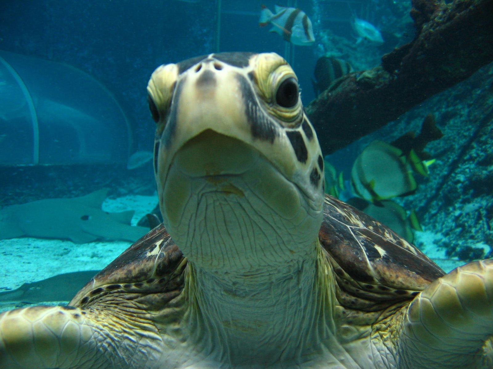 Wulguru QLD Darwin Tourism