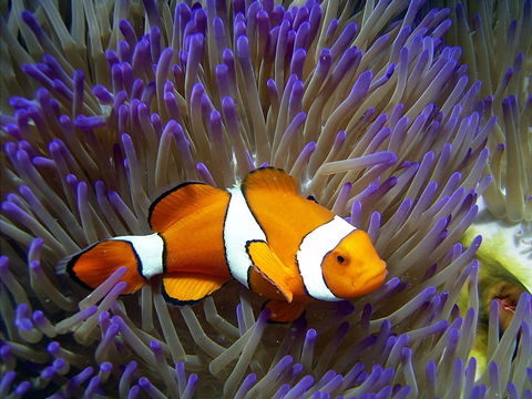 Reef HQ Aquarium - Darwin Tourism 1
