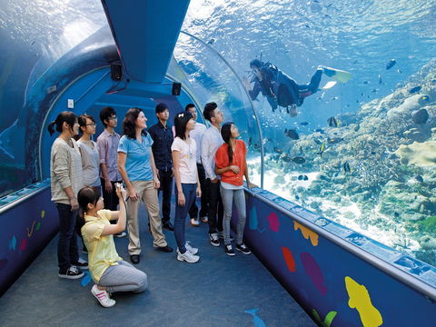 Reef HQ Aquarium - Darwin Tourism 2