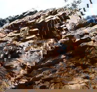 Rock Climbing in Morialta - Darwin Tourism