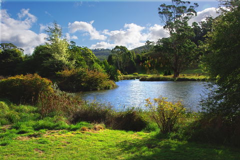 Tasmanian Arboretum Inc. - The - Darwin Tourism 0