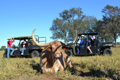 Texas Longhorn Tours - Darwin Tourism 1