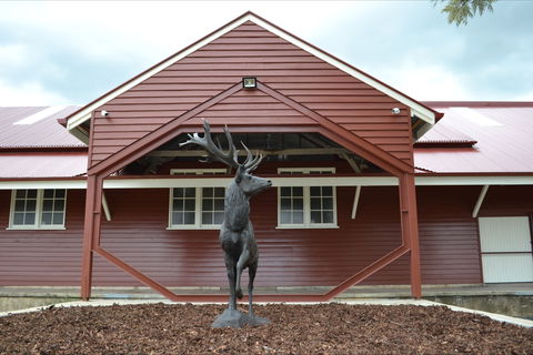 The Somerset Regional Art Gallery - The Condensery - Darwin Tourism 1