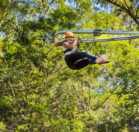 TreeTop Crazy Rider - Darwin Tourism