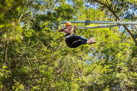 TreeTop Crazy Rider - Darwin Tourism 0