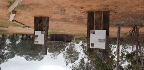 True Blue Poppet Head - Cooinda Park - Darwin Tourism 1