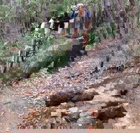 Turner Hill Mountain Bike Trail Murray