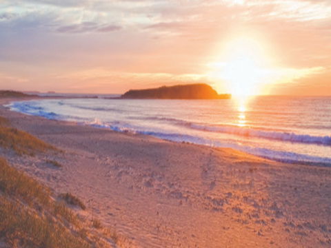 Warilla Beach: Shellharbour - Darwin Tourism 0
