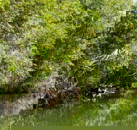 Berry Springs Nature Park - Darwin Tourism