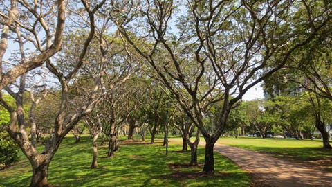 Bicentennial Park - Darwin Tourism 1