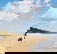 Bongil Bongil National Park