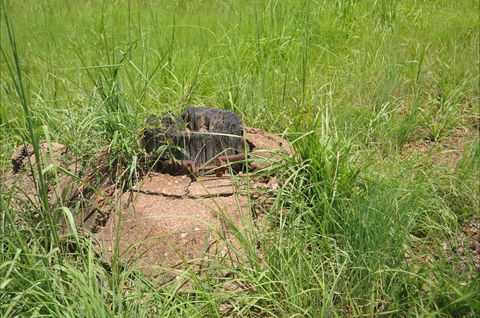 Brocks Creek Chinatown And Temple Site - Darwin Tourism 0