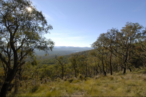 Bunyip State Park - Darwin Tourism 0