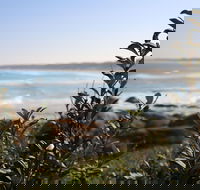 Cape Conran Coastal Park - Darwin Tourism