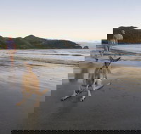 Cape Hillsborough National Park - Darwin Tourism