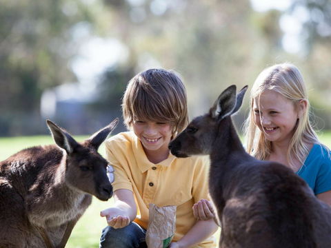 Cleland Wildlife Park - Darwin Tourism 1